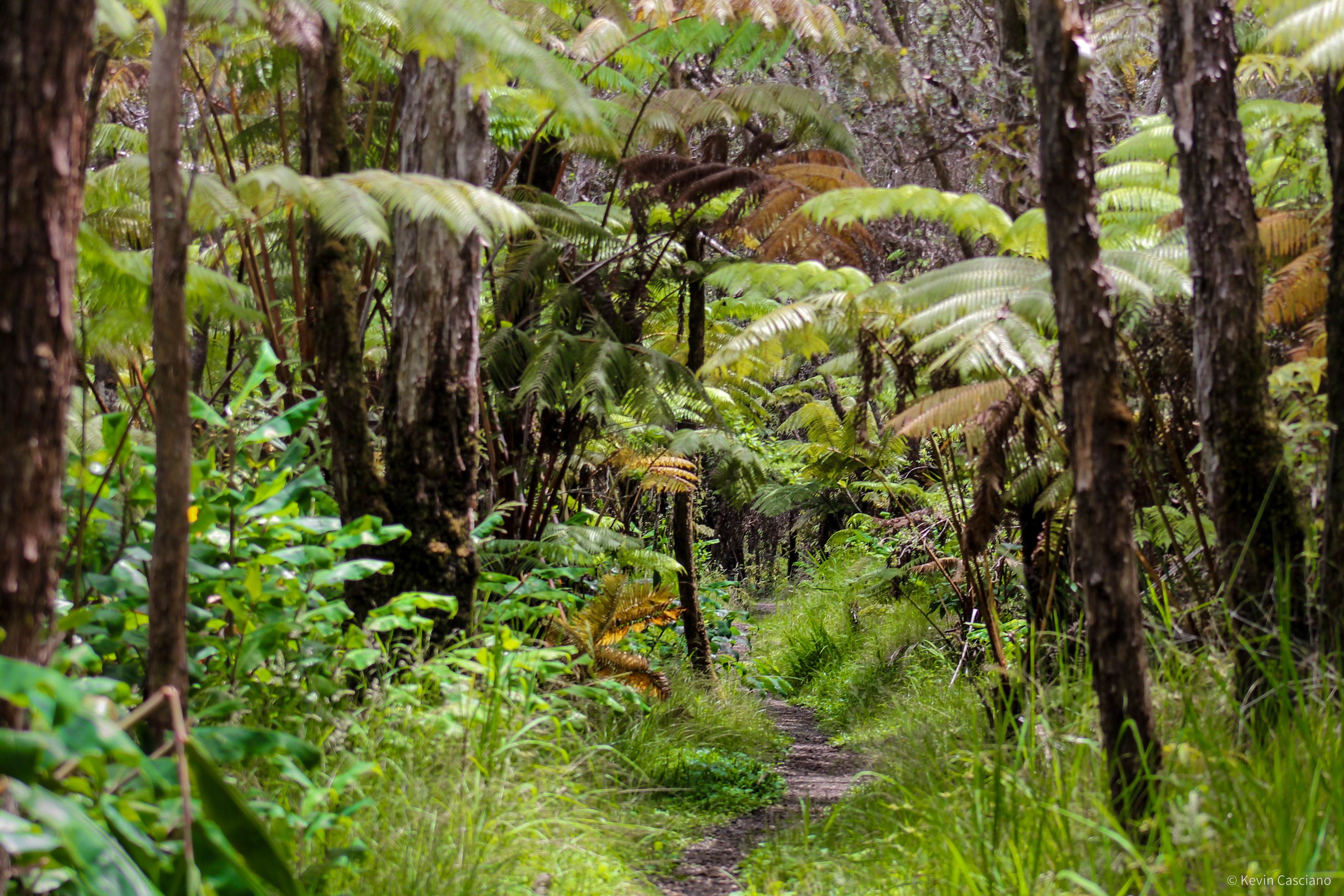 Basalt & Rain photograph 2